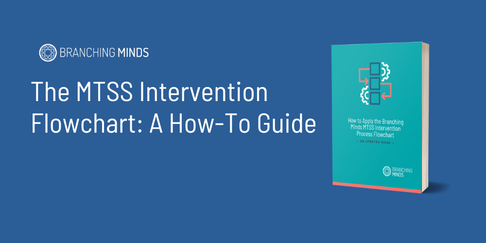 The MTSS Intervention Process Flowchart HowTo Guide